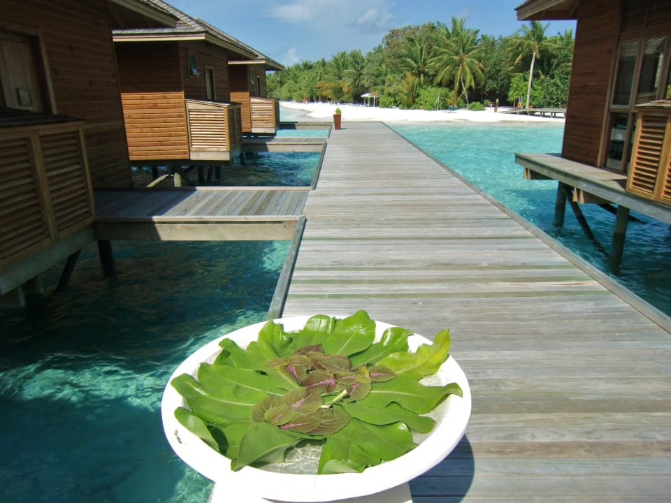Spa Vilamendhoo Island Resort & Spa