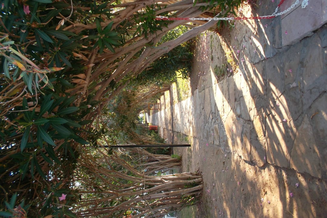 Weg vom Garten zum Meer Seher Kumköy Star Resort & Spa