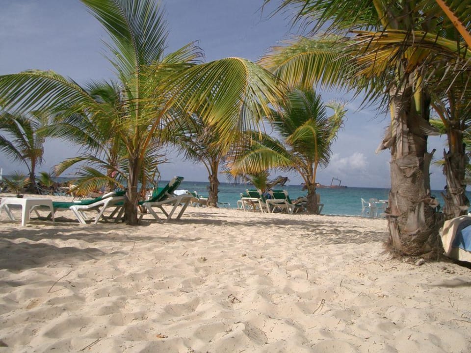 Strand von Riu Palace Hotel Riu Palace Punta Cana