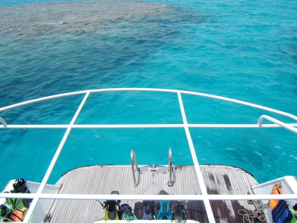 Tauchgang Pickalbatros Citadel Resort