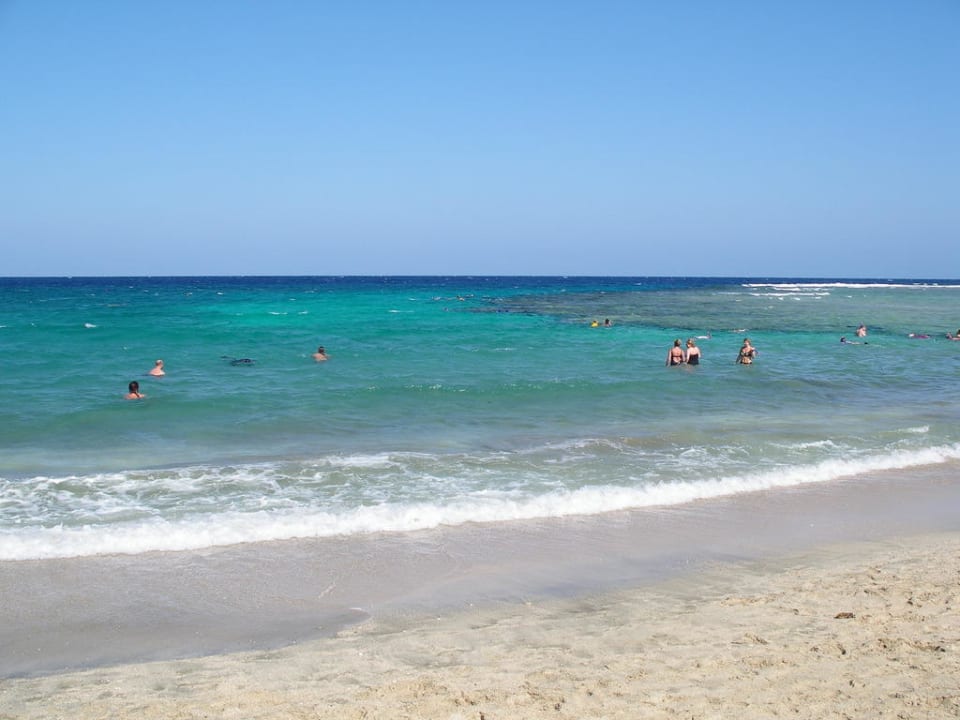 Am Hotelstrand/Riff Malikia Resort Abu Dabbab