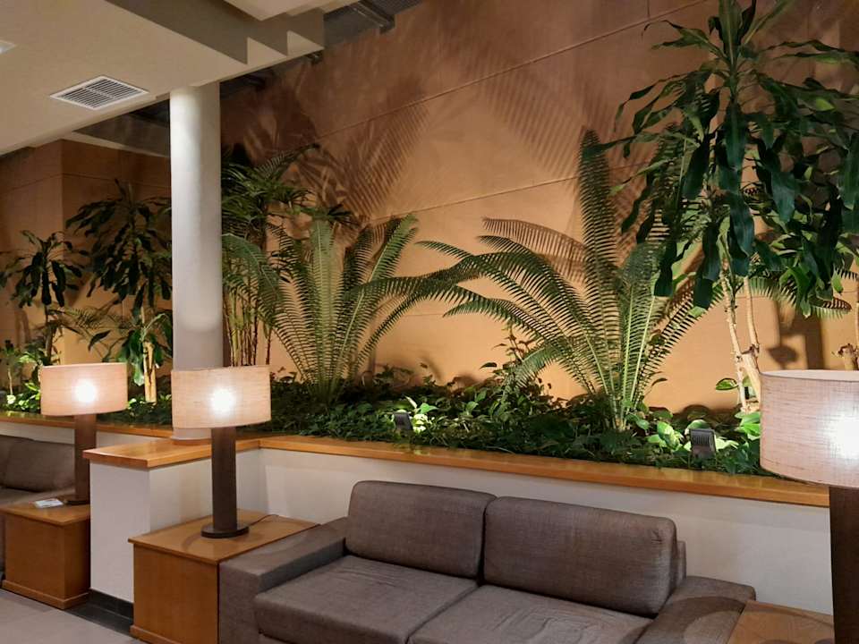 Lobby Hotel Playa Calera