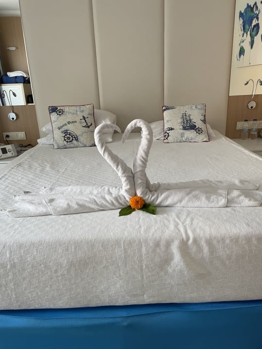 Zimmer AQI Pegasos World