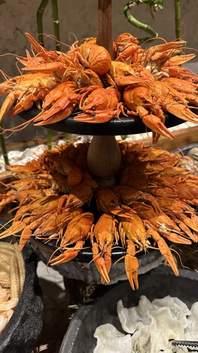 Gastro Acanthus Cennet Barut Collection