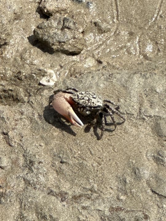 Strand Casa Mare Resort