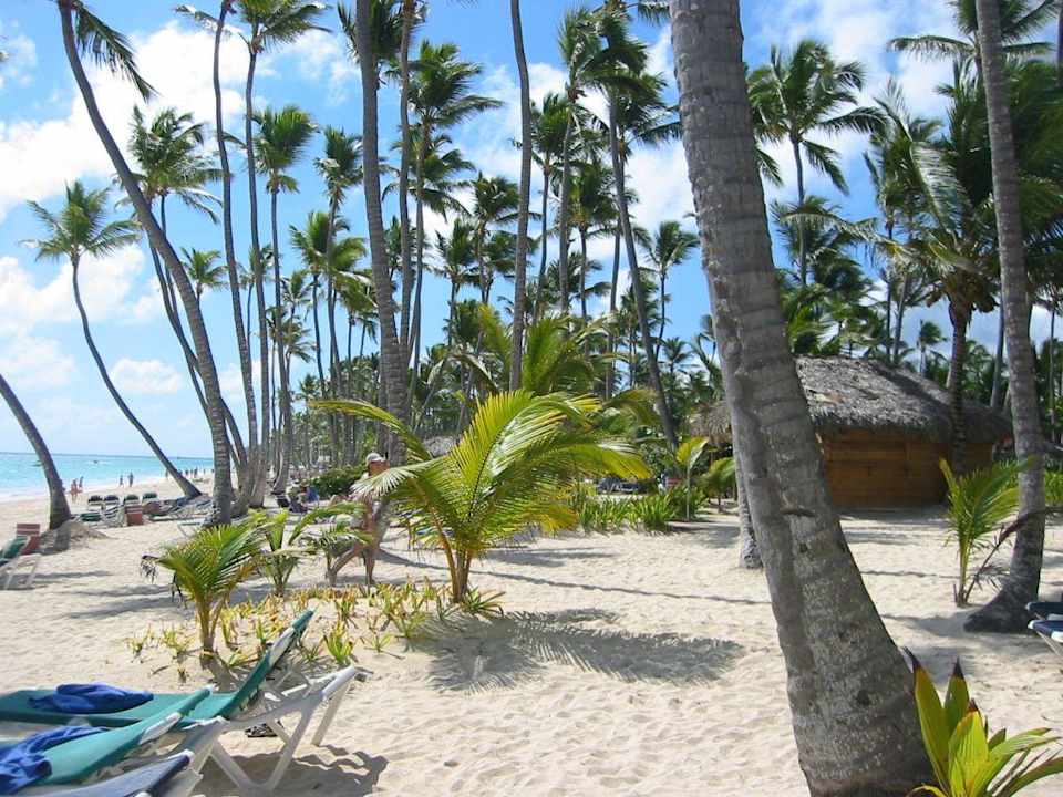 ohne Worte Grand Palladium Select Bávaro Resort & Spa