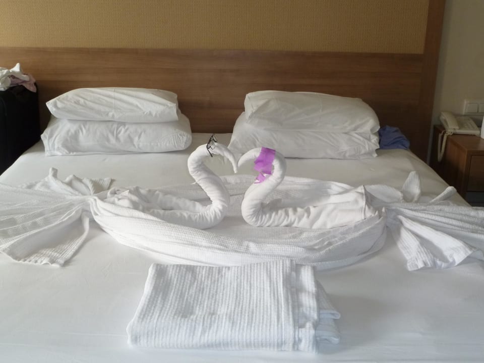 Mit ein bisschen Trinkgeld Marvida Family Eco