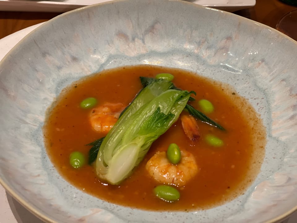 Gastro Acanthus Cennet Barut Collection