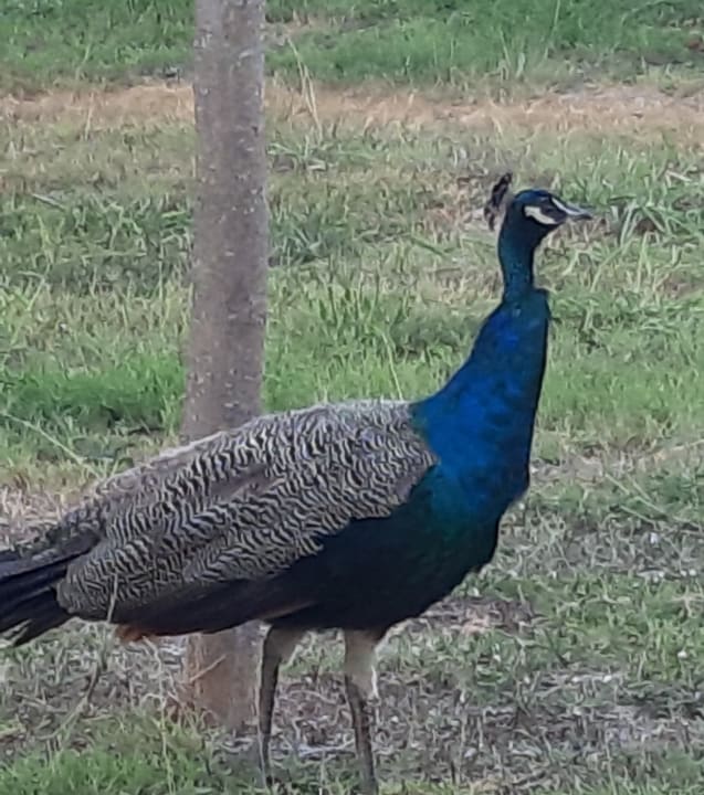 Sonstiges Hotel Hermes