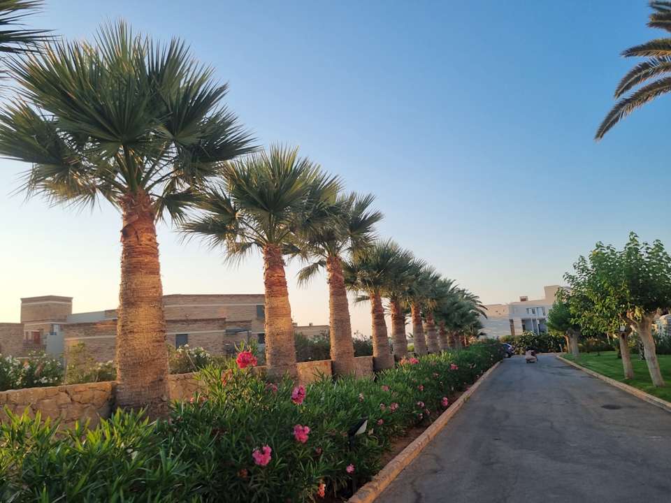 Gartenanlage Anissa Beach & Village