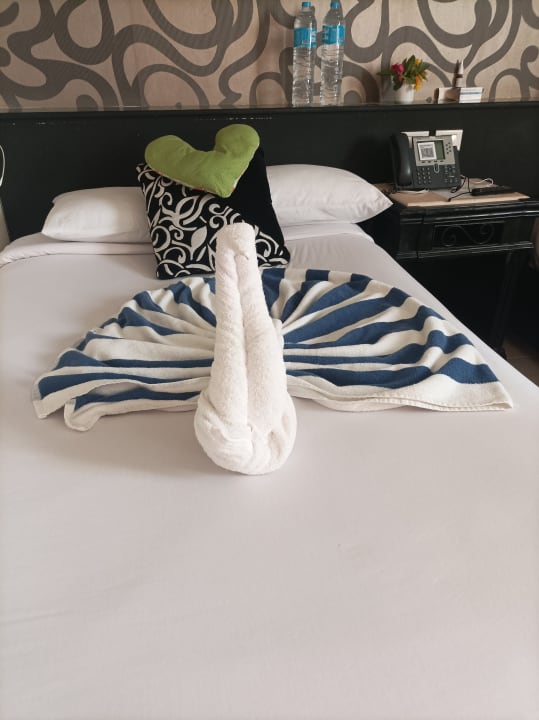 Zimmer Panorama Bungalows Resort El Gouna