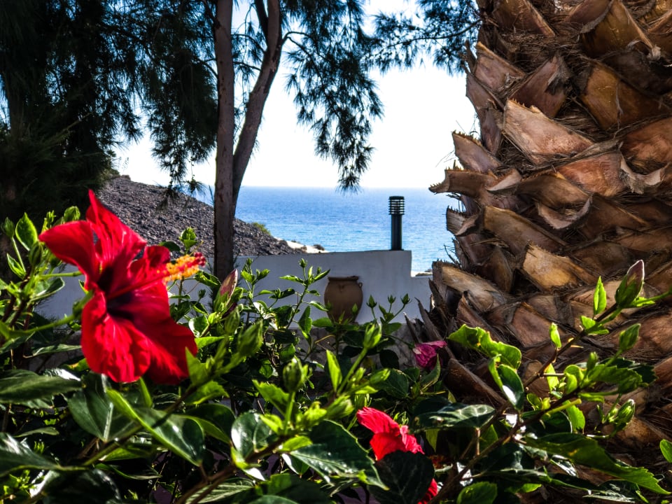 Ausblick Marina Playa Suite Hotel