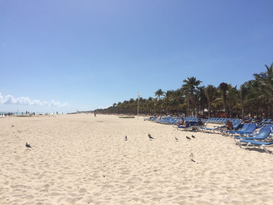 Strand Viva Maya by Wyndham - All Inclusive Resort