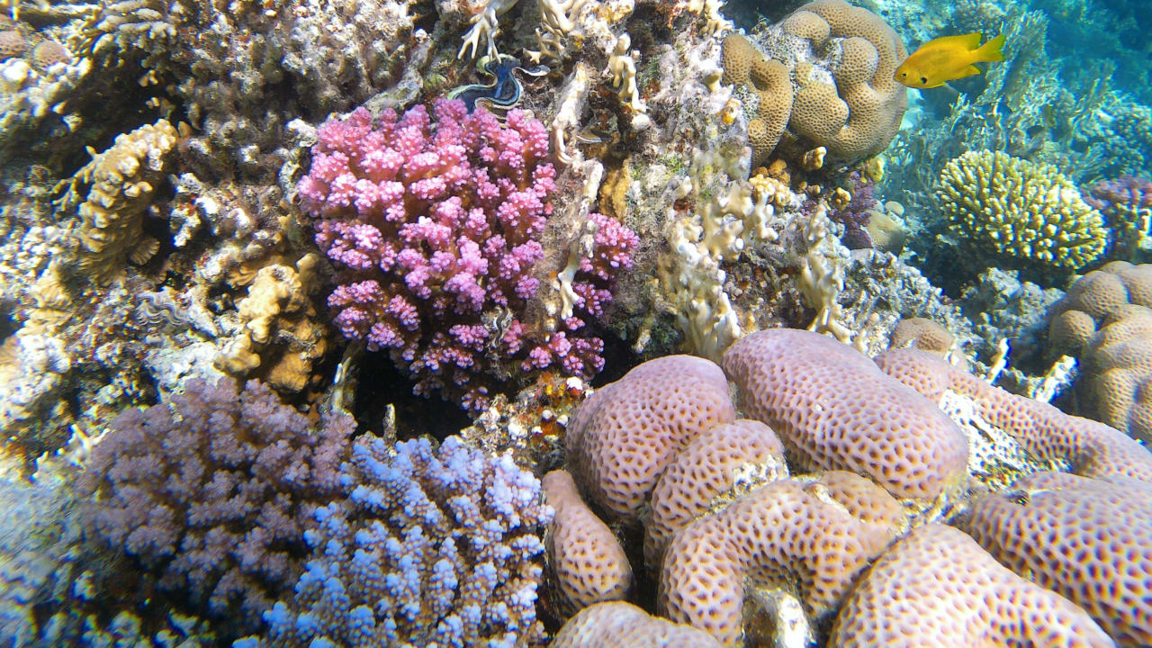 Sport & Freizeit Makadi Spa - Adults only