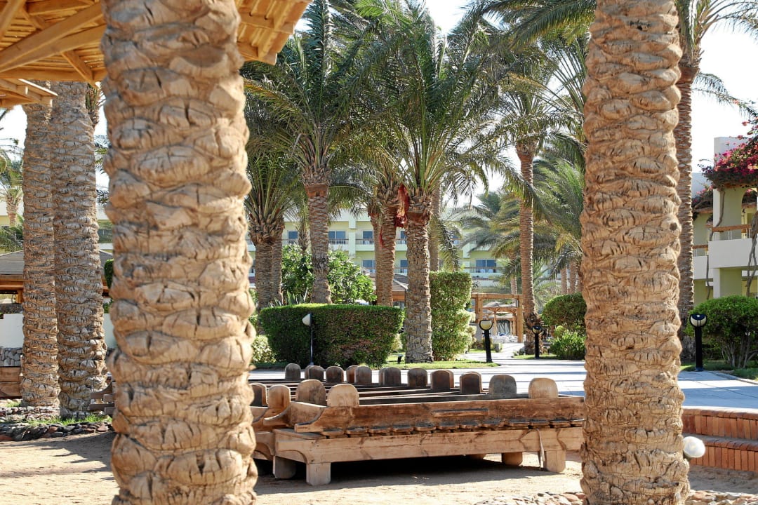 Palmenanlage Palm Beach Resort