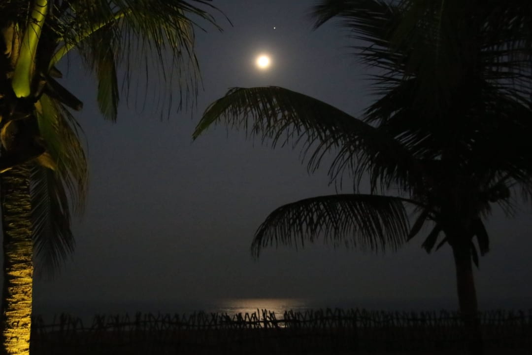 Moonlight Club Hotel Dolphin
