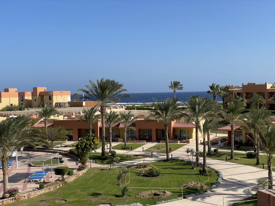 Ausblick Malikia Resort Abu Dabbab