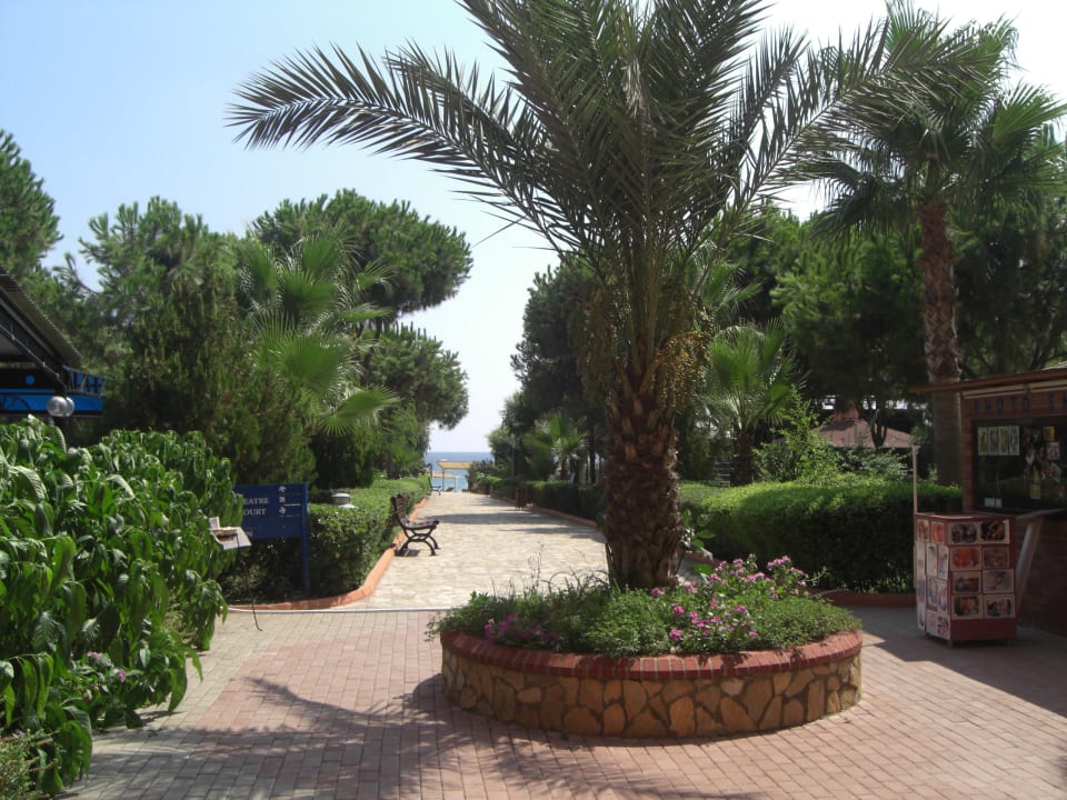 Der Weg zum Strand Club Turtas Beach Hotel
