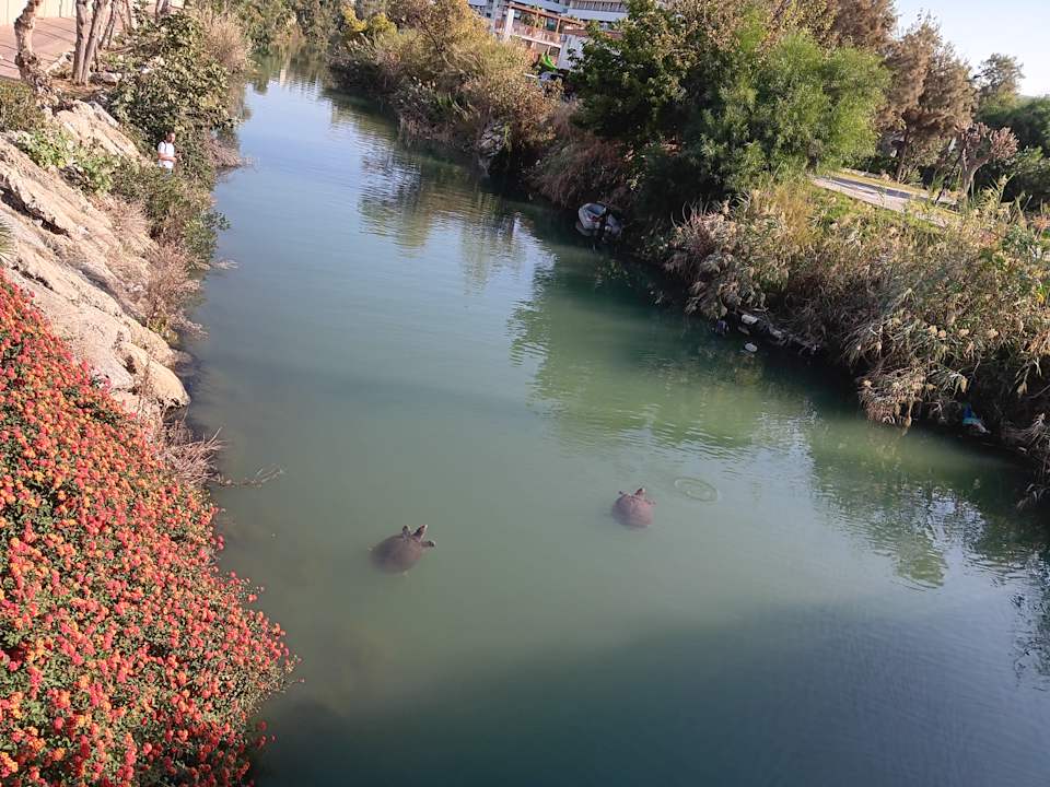 Strand Seher Resort & Spa