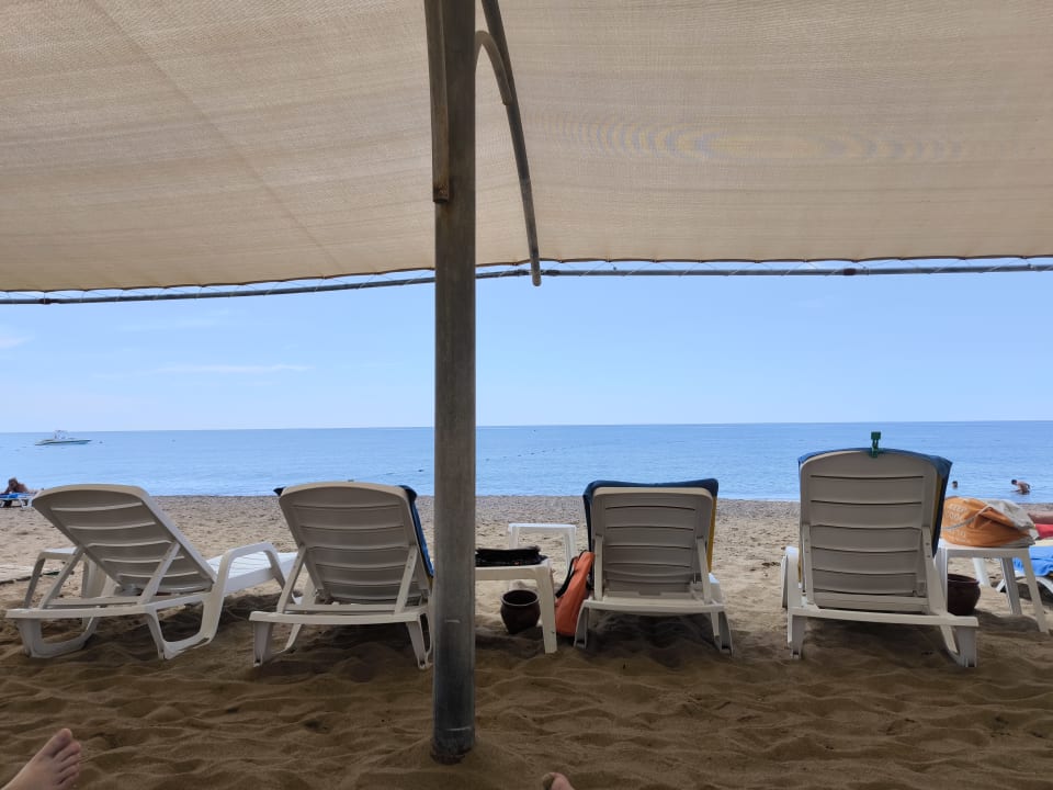 Strand Asteria Collection Side