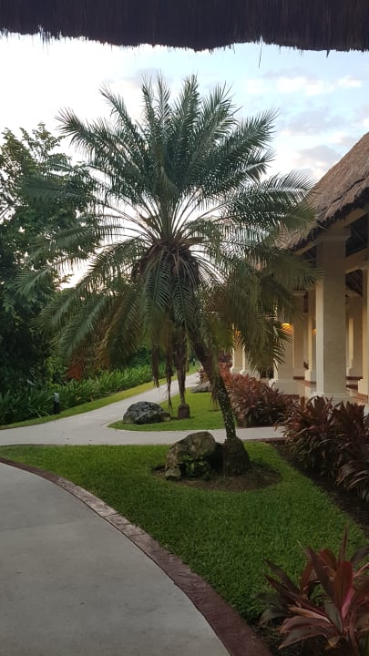 Gartenanlage Grand Palladium Kantenah Resort & Spa