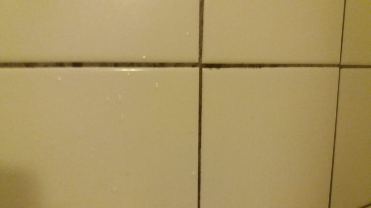 Zimmer Hotel Camelia Residence