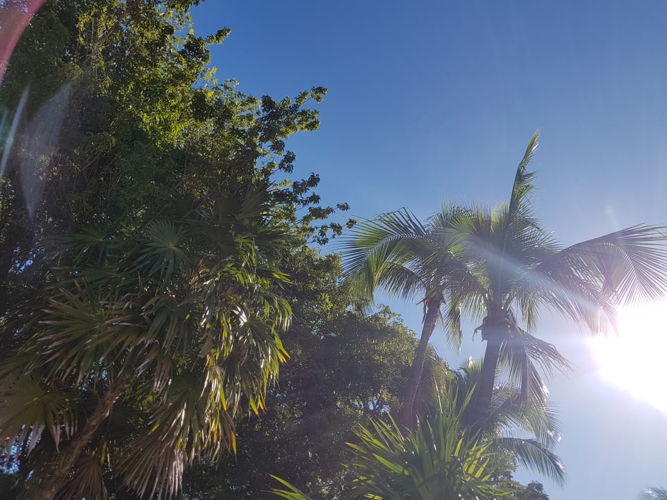 So sieht der Himmel im Dezember aus Hotel Riu Tequila