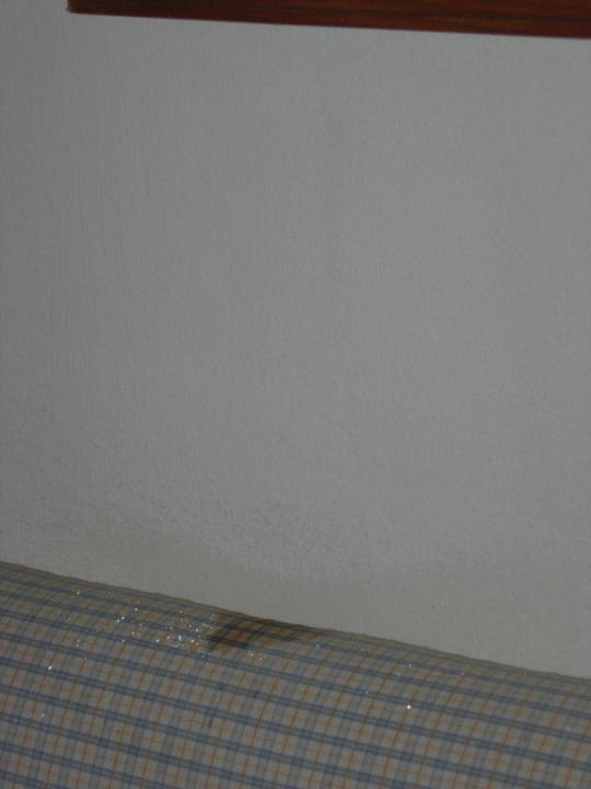 Hotel Grand Palladium Palace Resort, Spa & Casino Hotel Grand Palladium Palace Resort, Spa & Casino