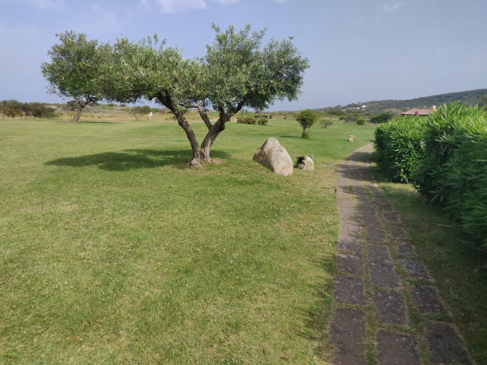 Garten TH San Teodoro - Liscia Eldi