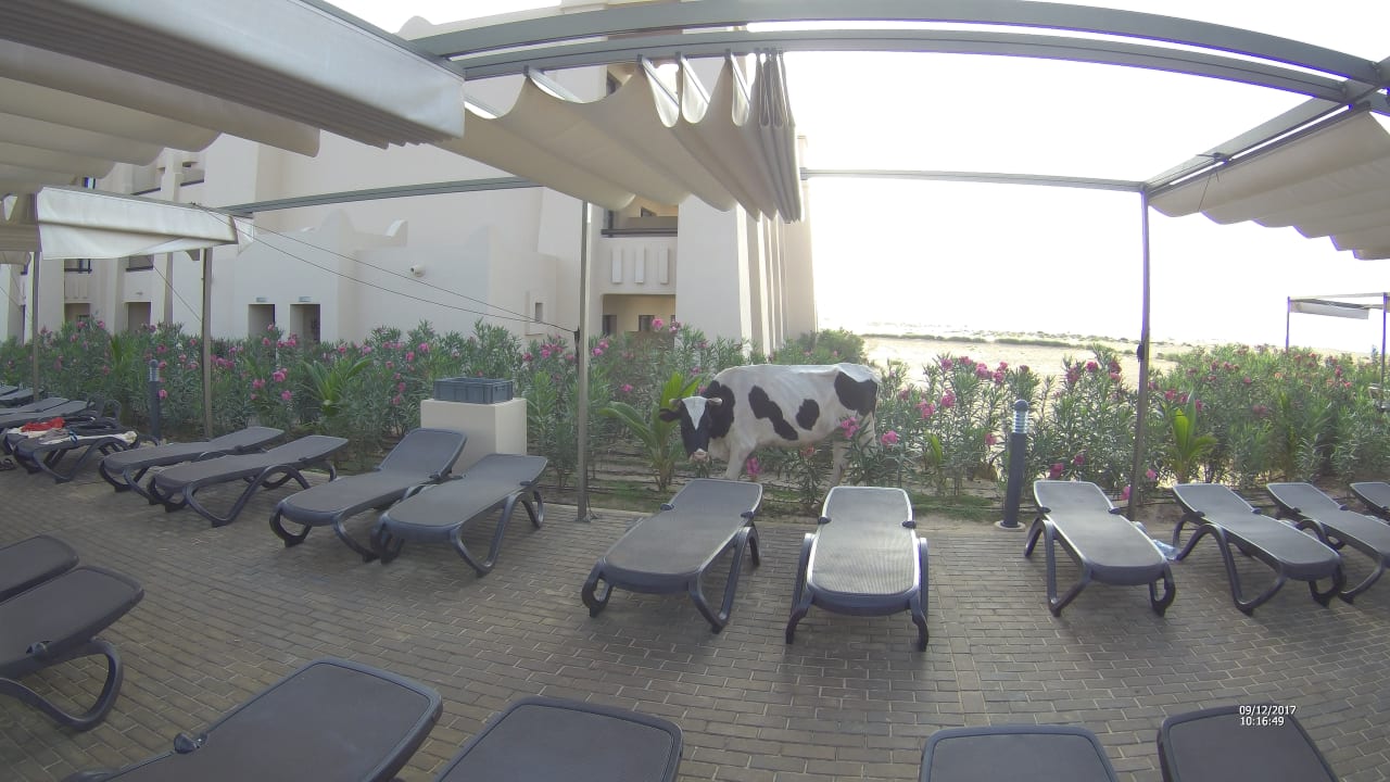 Sonstiges Hotel Riu Touareg