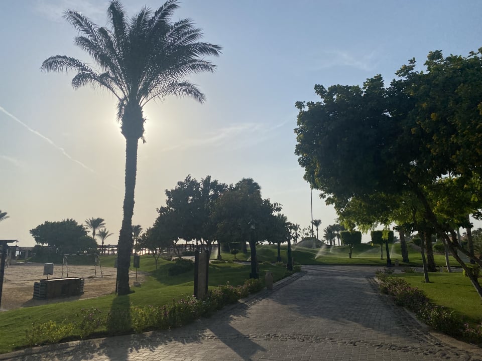 Gartenanlage Steigenberger ALDAU Beach Hotel