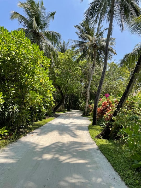 Gartenanlage Sheraton Maldives Full Moon Resort & Spa