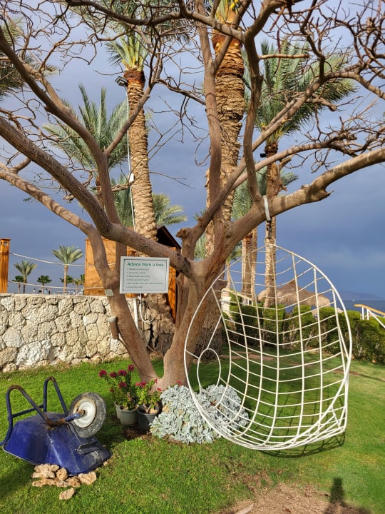 Gartenanlage Sharm Club Beach Resort