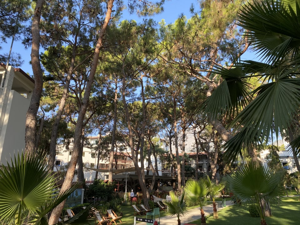 Gartenanlage Seven Seas Hotel Life