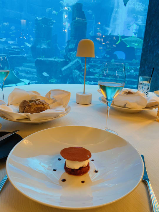 Gastro Atlantis, The Palm