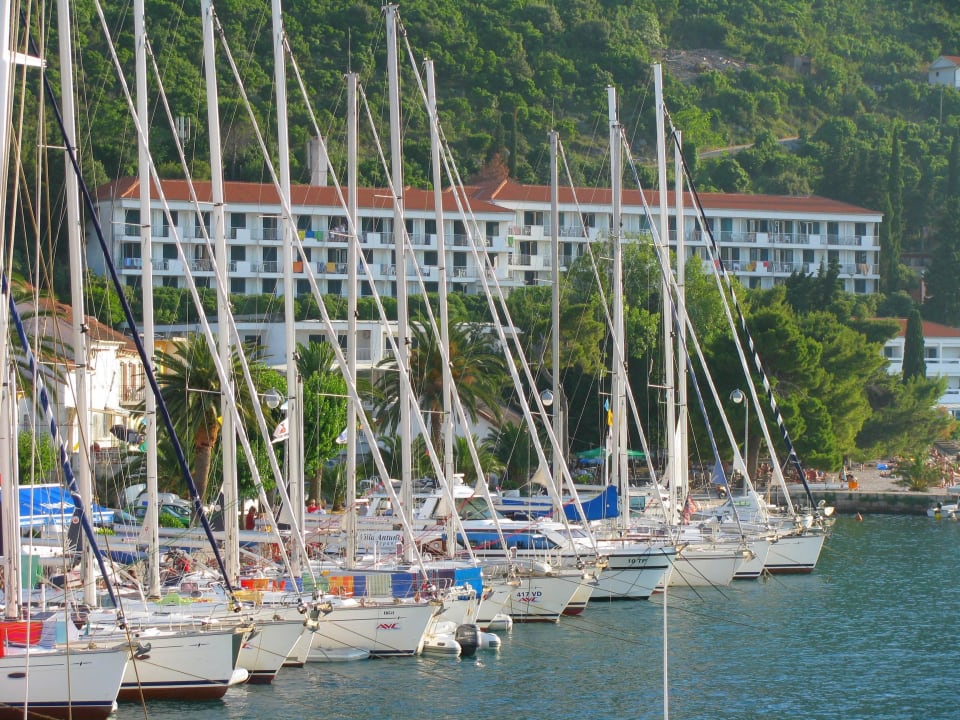 Hotel view Hotel Faraon