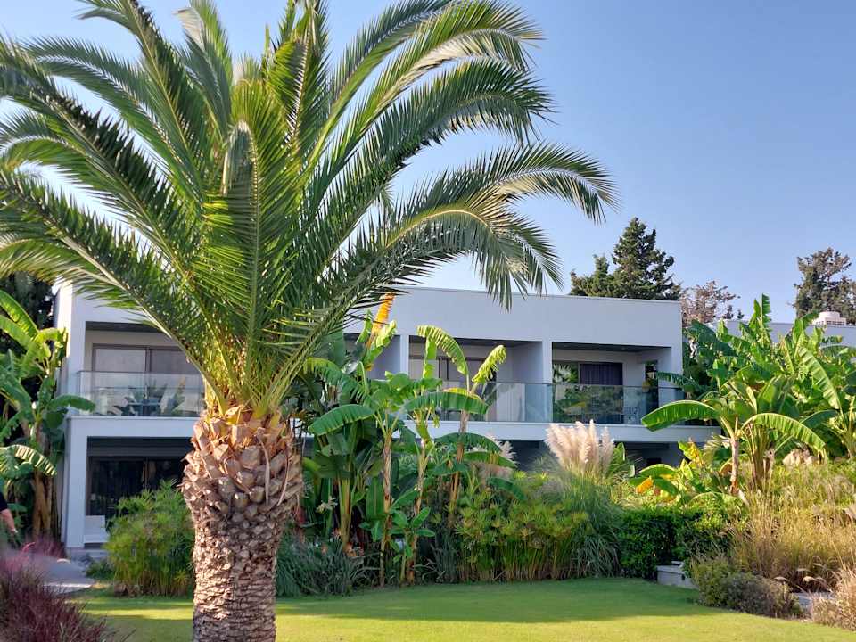 Außenansicht Paloma Finesse