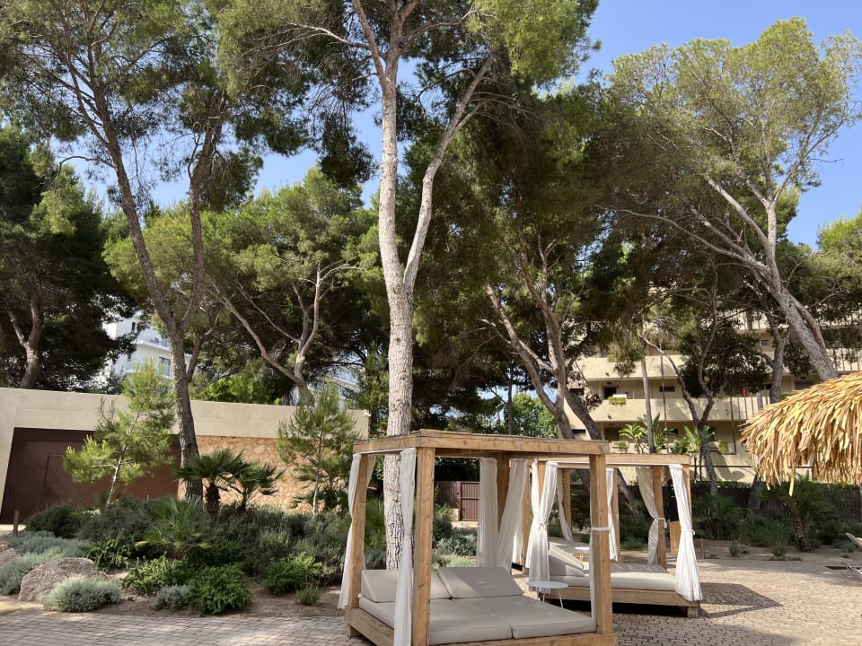 Gartenanlage Aubamar Suites & Spa