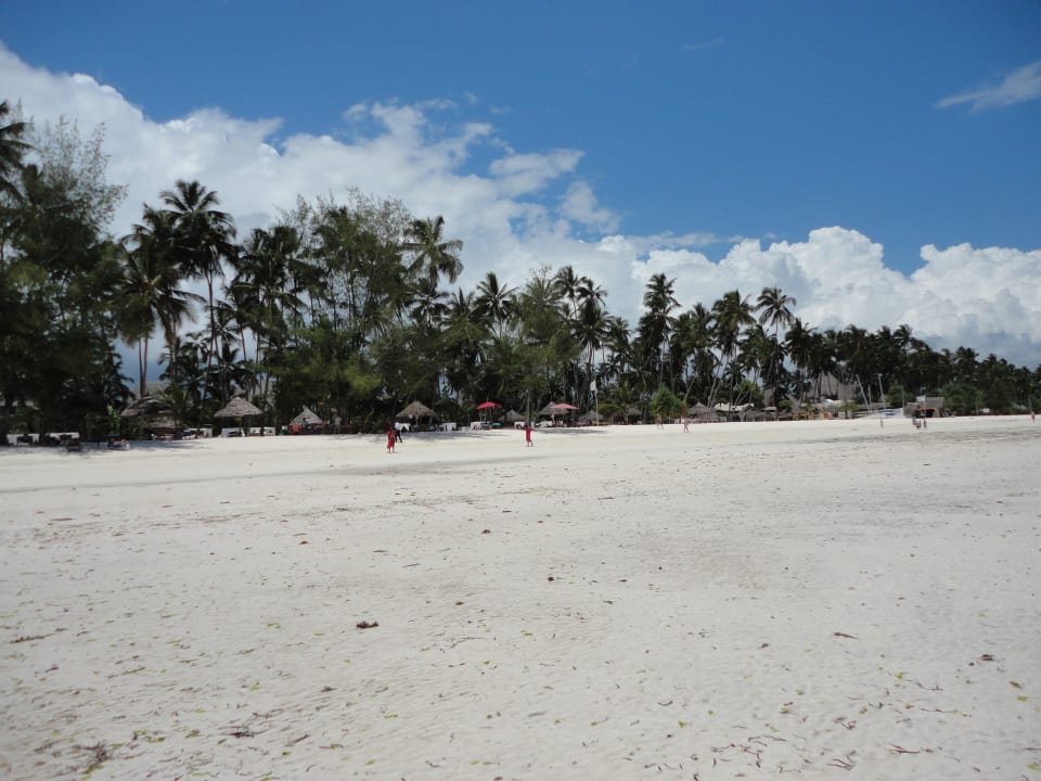 Diamonds Dream of Zanzibar TUI Blue Bahari Zanzibar