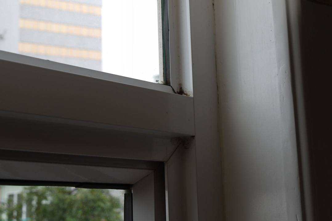 Mould at the window Hotel Thaison Palace