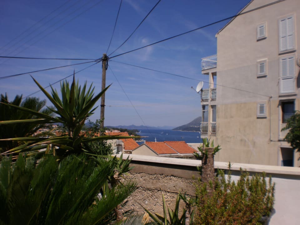 Ausblick Apartments Dubrovnik Palm Tree Paradise