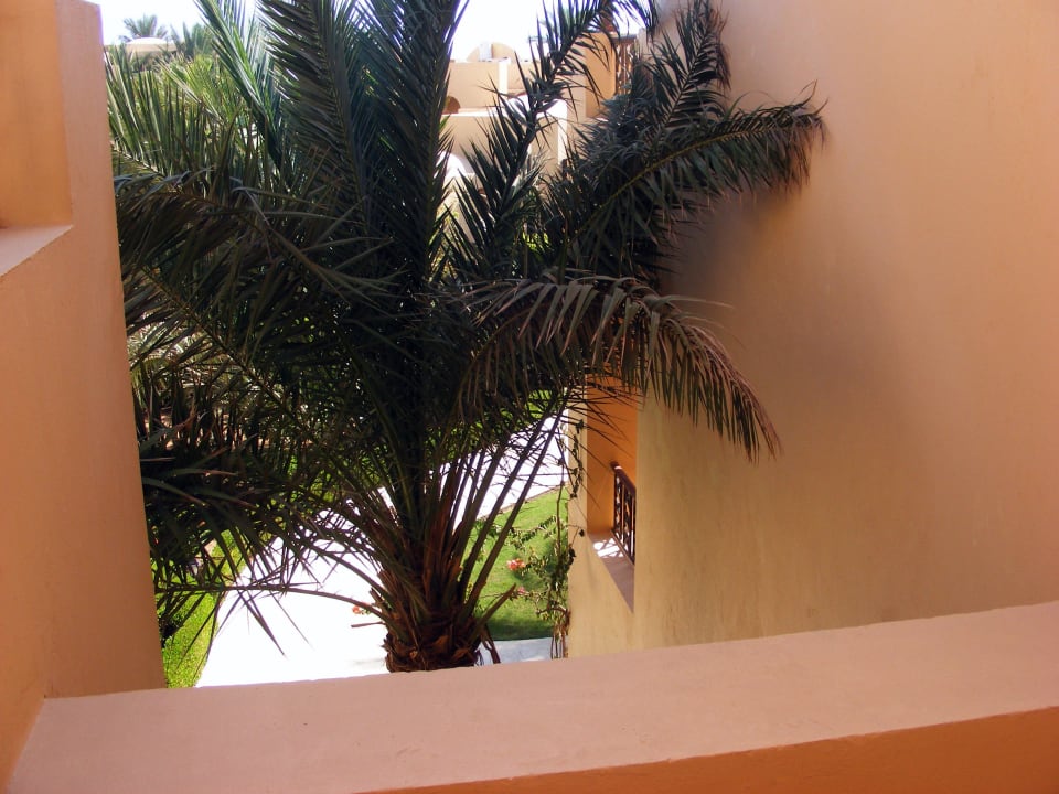 Ausblick vom Haus Steigenberger Coraya Beach - Adults only