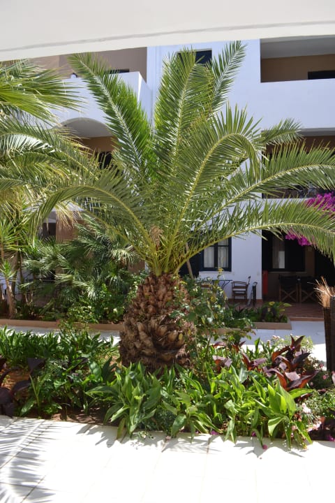 Palme Nami Hotel & Suites