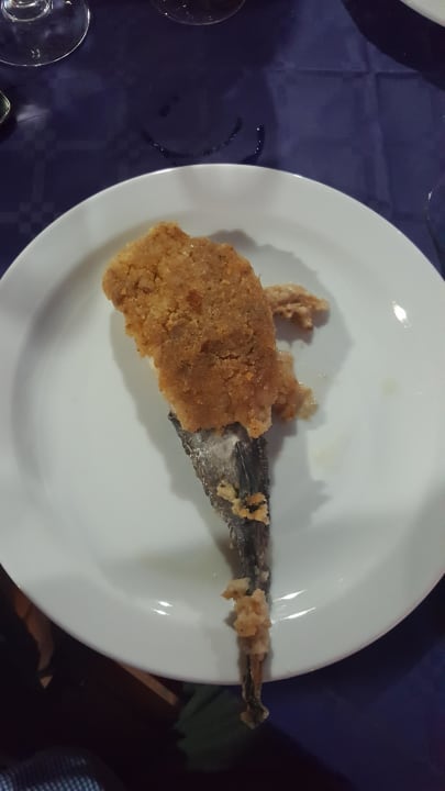 Hauptgang Seeteufel  Hotel Residence Santa Monica