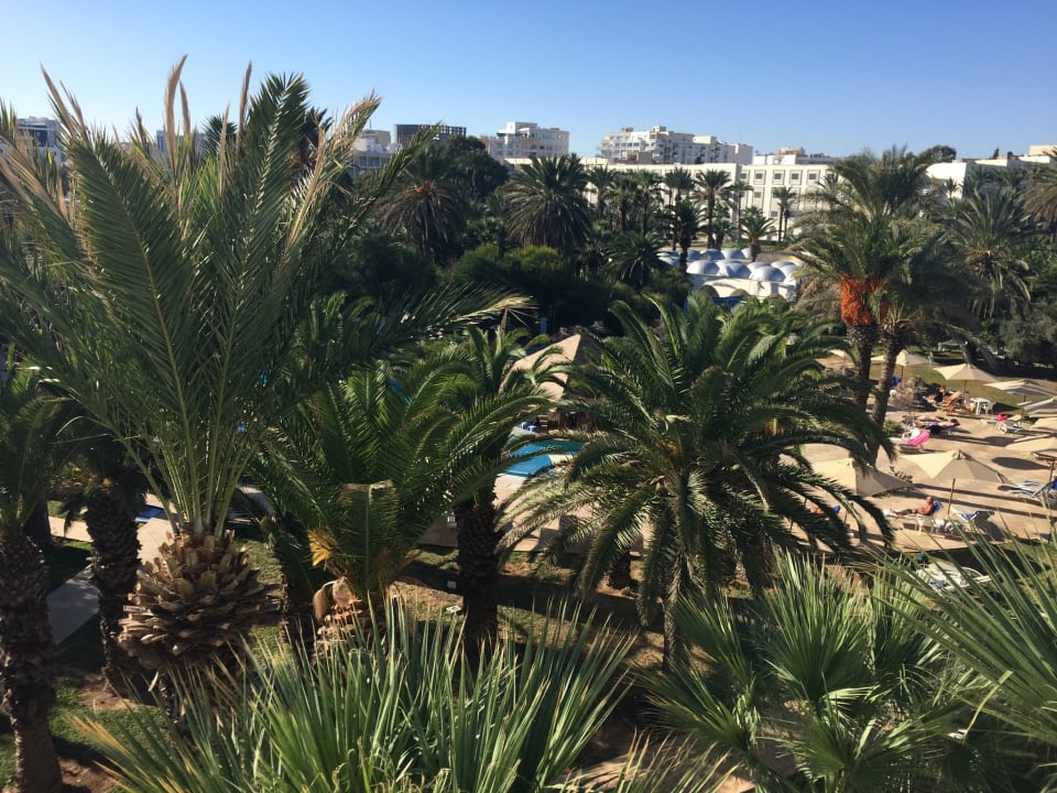 Ausblick Hotel Marhaba Beach