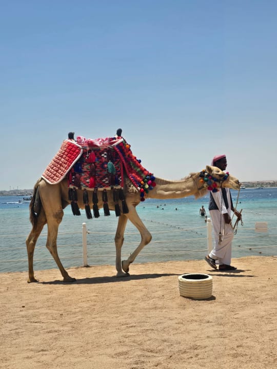 Strand Makadi Palace
