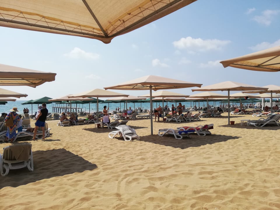 Strand Kamelya Aishen Club