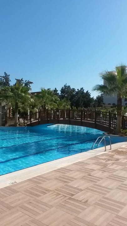 Blick auf den Pool  Dizalya Palm Garden