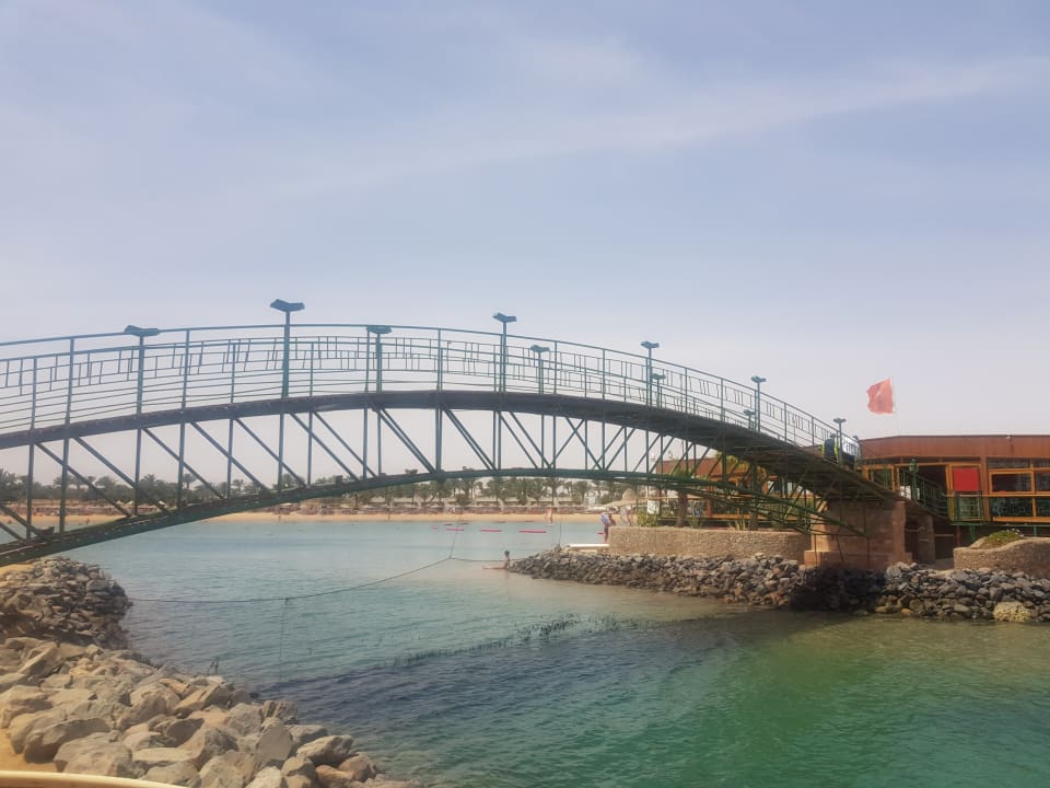 Sonstiges Desert Rose