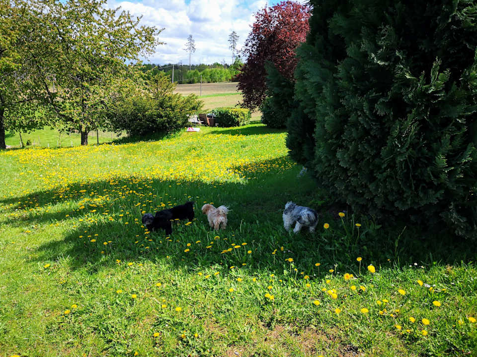 Gartenanlage Pumphut's Scheune - Ferienwohnungen